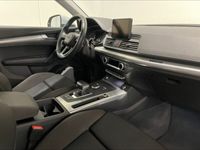 usata Audi Q5 40 TDI quattro S tronic Business Sport del 2020 usata a Conegliano