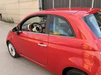 Usata Fiat 500 95 CV (69 kW) 2013 Rosso Berlina