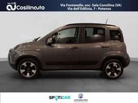 Usata Fiat Panda Cross Cross 70 CV (51 kW) 2023 Grigio Utilitaria