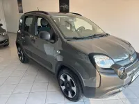 Usata Fiat Panda Cross Cross 69 CV (50 kW) 2020 Grigio Utilitaria