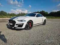Usata Ford Mustang 290 CV (213 kW) 2018