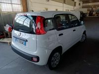 usata Fiat Panda Panda1.2 Easy euro6