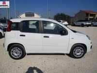 usata Fiat Panda 1.3 MJT 80CV Easy-2017 KM45000 OK NEOPATE