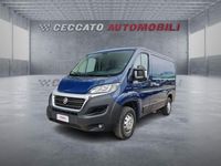Usata Fiat Ducato 116 CV (85 kW) 2019 Blu Furgone