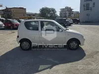 Usata Fiat 600 Active 54 CV (39 kW) 2007 Bianco Utilitaria