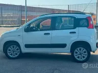 Usata Fiat Panda Lounge 80 CV (58 kW) 2015 Bianco Utilitaria