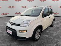 Usata Fiat Panda 70 CV (51 kW) 2024 Bianco Berlina