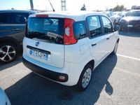 usata Fiat Panda 1.2 Pop - IN ARRIVO-