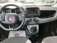 Usata Fiat Panda S 69 CV (50 kW) 2023 Bianco Utilitaria