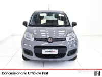 Usata Fiat Panda Easy 70 CV (51 kW) 2020 Grigio Utilitaria
