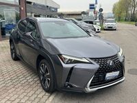 usata Lexus UX UX 250hHybrid 4WD Premium