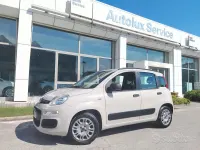 Usata Fiat Panda 75 CV (55 kW) 2014 Beige Utilitaria