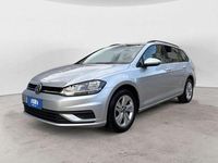Usata VW Golf VII Trendline 116 CV (85 kW) 2020 Argento metallizzato Station wagon