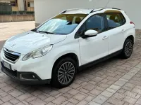 Usata Peugeot 2008 Access 75 CV (55 kW) 2016 Bianco SUV