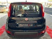 usata Fiat Panda Cross 1.0 FireFly S&S Hybrid City nuovo