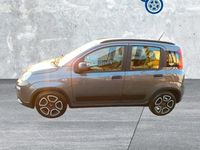 Usata Fiat Panda City Life 70 CV (51 kW) 2021 Grigio Utilitaria