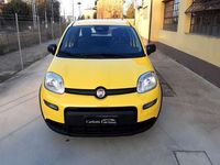 Usata Fiat Panda 69 CV (50 kW) 2024 Giallo Utilitaria