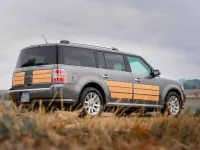 Usata Ford Flex 244 CV (179 kW) 2009 Grigio SUV