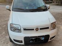 Usata Fiat Panda 4x4 2010 Bianco Utilitaria