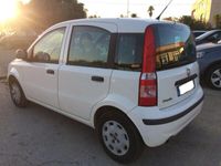 usata Fiat Panda 2ª serie 1.2 Active GPL