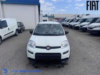 Usata Fiat Panda S 69 CV (50 kW) 2024 Bianco gelato Utilitaria