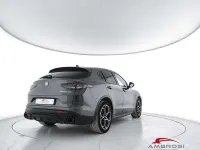 Usata Alfa Romeo Stelvio Veloce 210 CV (154 kW) 2025 Grigio SUV
