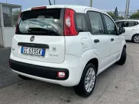 Usata Fiat Panda Launch Edition 69 CV (50 kW) 2020 Bianco Utilitaria