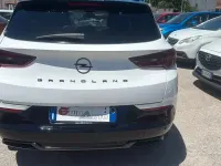Usata Opel Grandland X 131 CV (96 kW) 2022 Bianco SUV