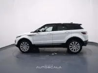 Usata Land Rover Range Rover evoque Pure 150 CV (110 kW) 2017 Fujii white / tetto nero SUV