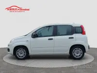 Usata Fiat Panda S 69 CV (50 kW) 2021 Bianco Utilitaria