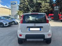 Usata Fiat Panda 4x4 S 95 CV (69 kW) 2016 Grigio Utilitaria