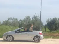 Usata Peugeot 207 CC 150 CV (110 kW) 2006 Grigio Cabrio