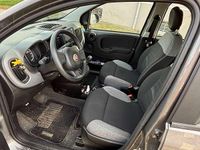 Usata Fiat Panda City Life 69 CV (50 kW) 2022 Marrone Utilitaria