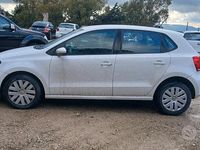 Usata VW Polo Comfortline 74 CV (54 kW) 2014 Bianco Berlina