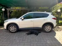 Usata Mazda CX-5 Evolve 150 CV (110 kW) 2012 Bianco SUV