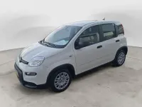 Usata Fiat Panda S 70 CV (51 kW) 2024 Bianco Utilitaria