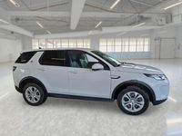 Usata Land Rover Discovery Sport S 163 CV (119 kW) 2021 Bianco SUV
