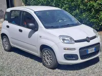 Usata Fiat Panda Easy 95 CV (69 kW) 2016 Bianco Utilitaria