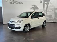 Usata Fiat Panda S 69 CV (50 kW) 2025 Bianco Utilitaria