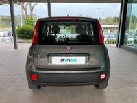 usata Fiat Panda 1.2 69CV E6 EASY