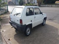 usata Fiat Panda 900 i.e. cat