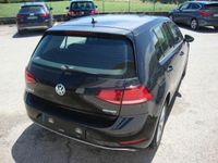 usata VW Golf 1.5 TGI DSG 5p. Business BlueMotion Technology