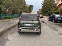 Usata Fiat Panda Cross Cross 95 CV (69 kW) 2016 Verde Utilitaria