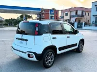 Usata Fiat Panda Easy 69 CV (50 kW) 2020 Bianco Utilitaria