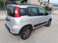 Usata Fiat Panda 4x4 S 75 CV (55 kW) 2013 Grigio Utilitaria