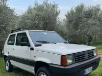 Usata Fiat Panda 4x4 Trekking 54 CV (39 kW) 1999 Bianco Utilitaria