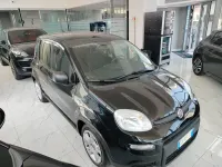 Usata Fiat Panda Cross Cross 70 CV (51 kW) 2023 Nero Utilitaria
