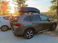 Usata Subaru Forester Premium 150 CV (110 kW) 2020 Marrone SUV