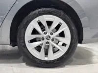 Usata Skoda Octavia Ambition 116 CV (85 kW) 2024 Grigio Berlina