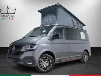 Usata VW California Edition 150 CV (110 kW) 2020 Grigio Furgone